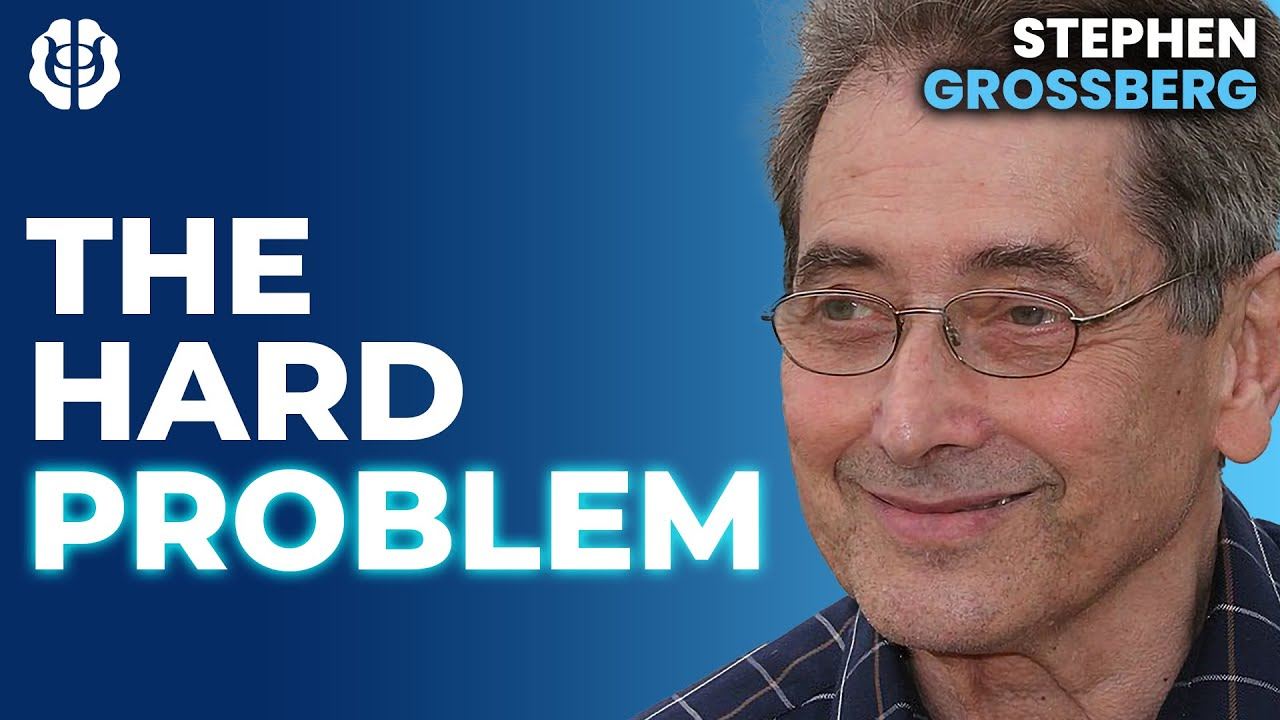 Stephen Grossberg and Dr Tevin Naidu on Mind-Body Solution