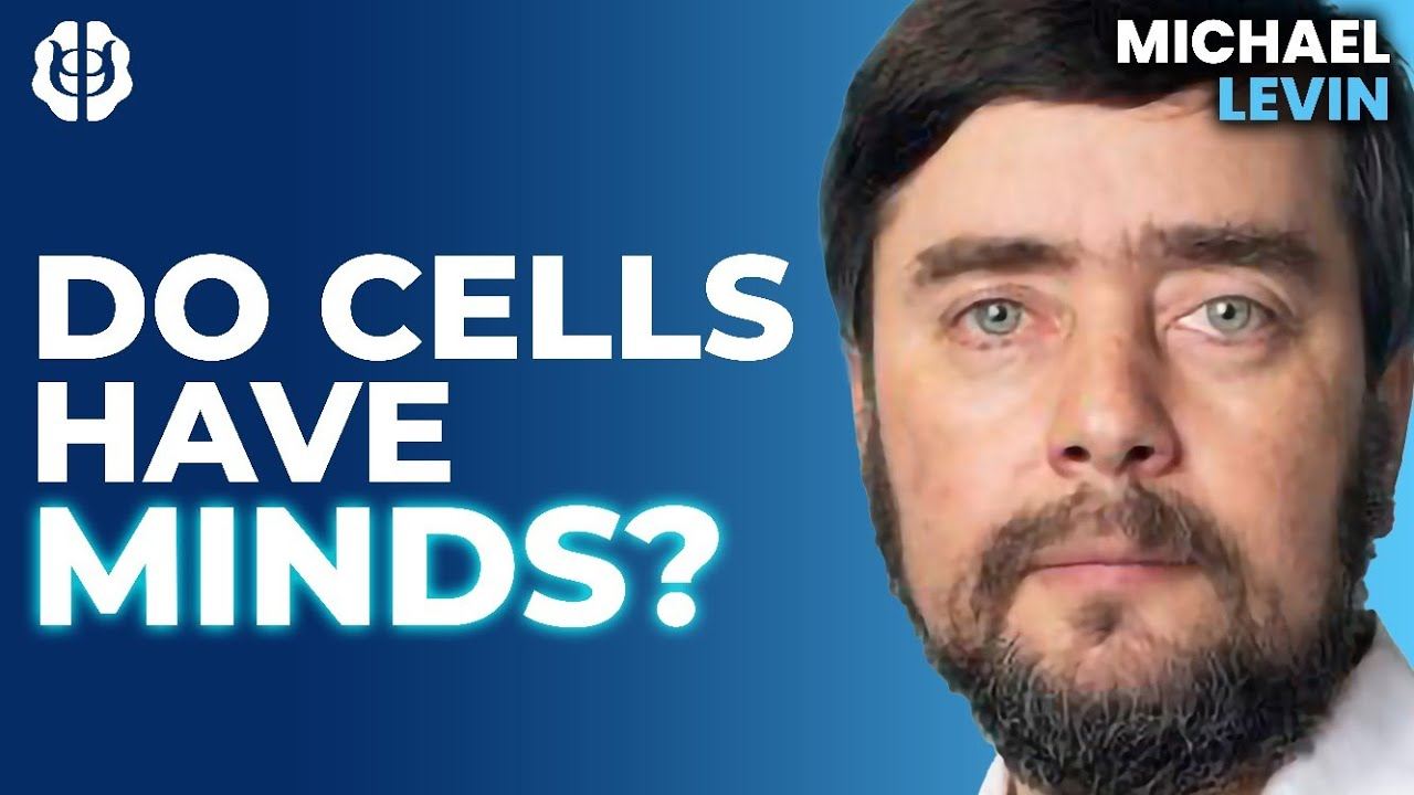 Michael Levin and Dr Tevin Naidu on Mind-Body Solution