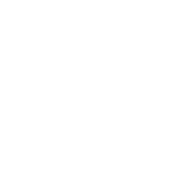 Dr Tevin Naidu Logo